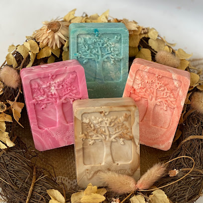 Janelle’s Soaps and Succulents