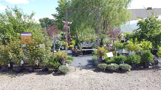 Garden Center «The Potting Shed Garden & Gifts and Urban Meadows Floral», reviews and photos, 1717 Devney Dr, Altoona, WI 54720, USA