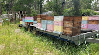Bee Ready 4 Anything LLC