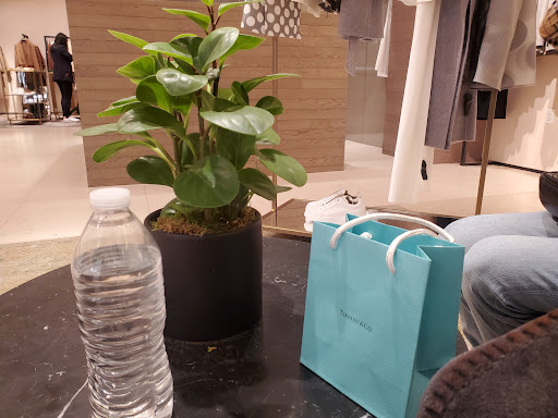 Jewelry Store «Tiffany & Co.», reviews and photos, 3333 Bristol St, Costa Mesa, CA 92626, USA