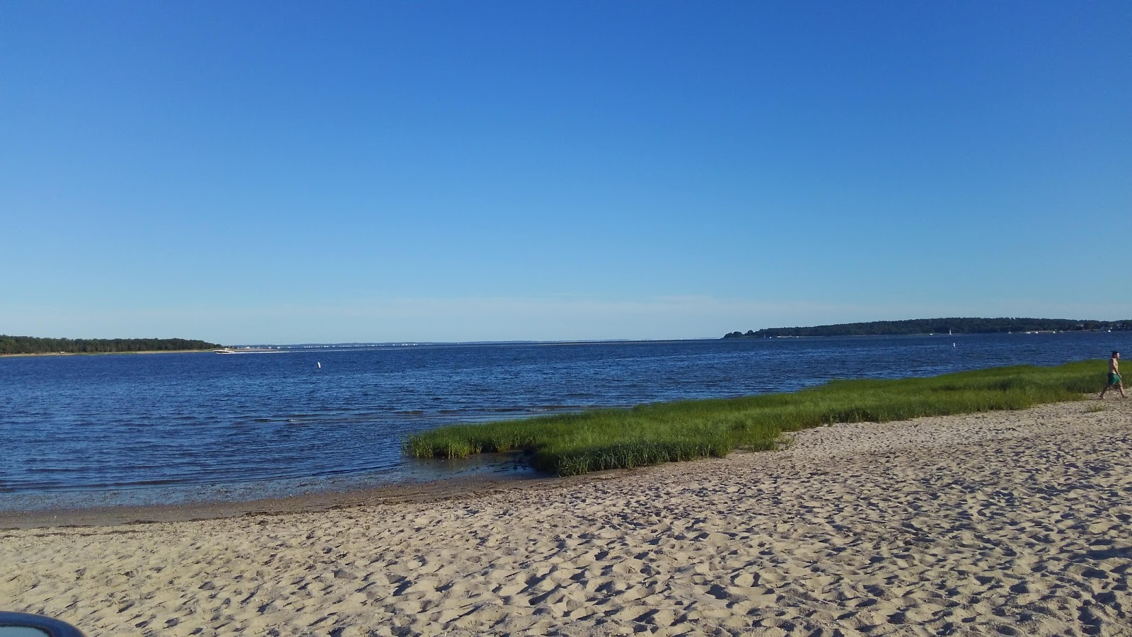 Foto von Swift's Beach mit heller sand Oberfläche