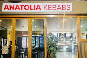 Anatolia Kebabs image