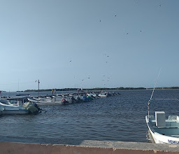 Muelle De Pescadores De San Felipe photo