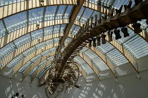 Hungarian Natural History Museum image