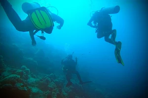 Natlus Divers image