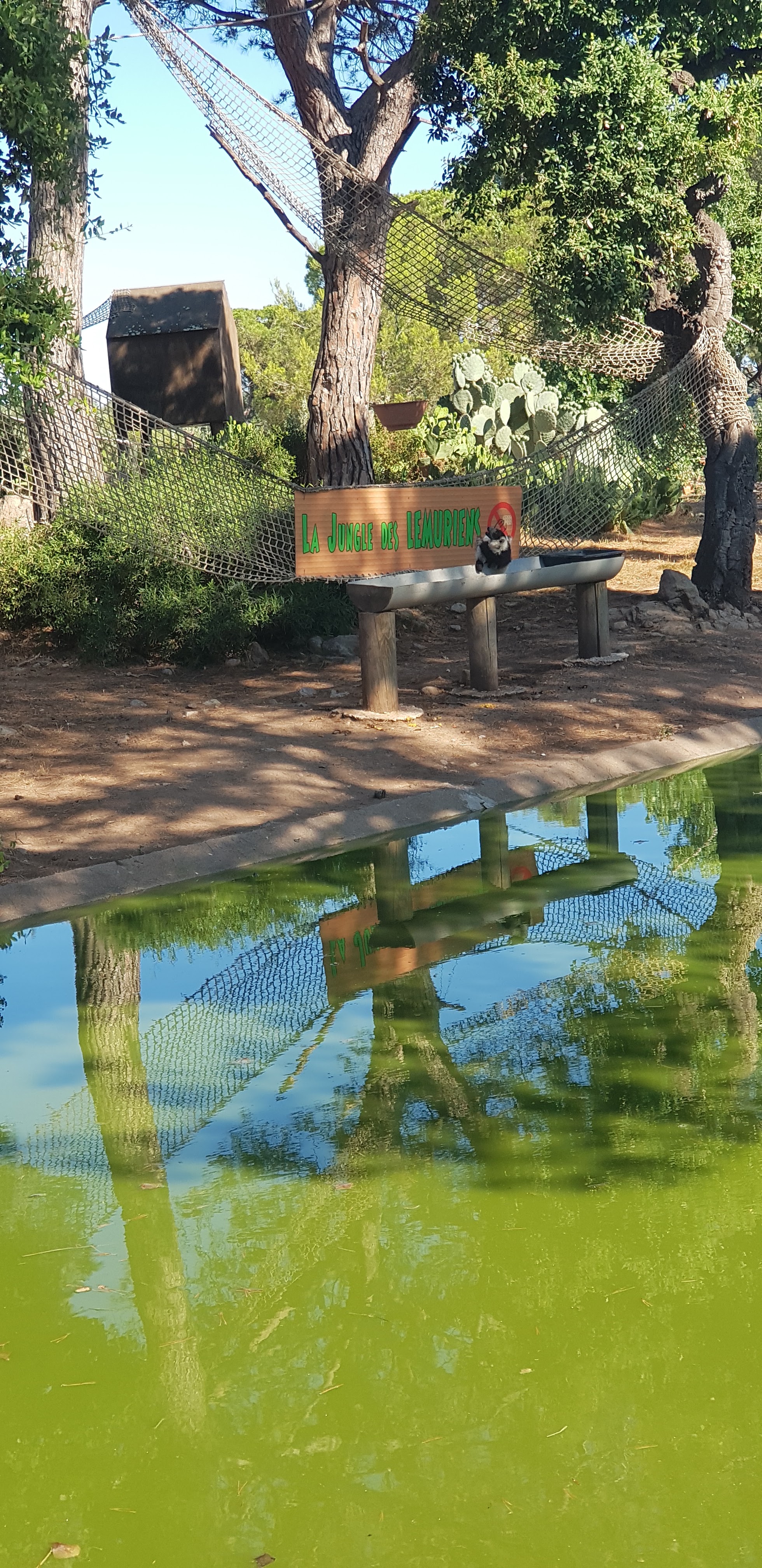 Photo n° 29 de l'avis de stephanie.a fait le 05/08/2018 à 15:29