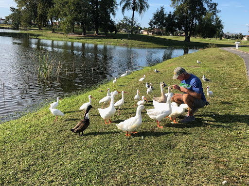 Golf Club «Apollo Beach Golf Club», reviews and photos, 801 Golf and Sea Blvd, Apollo Beach, FL 33572, USA
