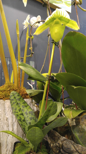 Florist «Green Cottage», reviews and photos, 1204 NY-213, High Falls, NY 12440, USA