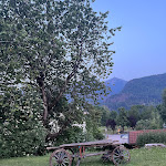 Photo n°1 de l'avis de Roberta.a fait le 28/06/2023 à 13:13 sur le  Hotel Latemar à Castello-Molina di Fiemme