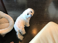 Hot Tin Roof Hair - Photo 6 - Car repair in Stamford, CT, Stamford