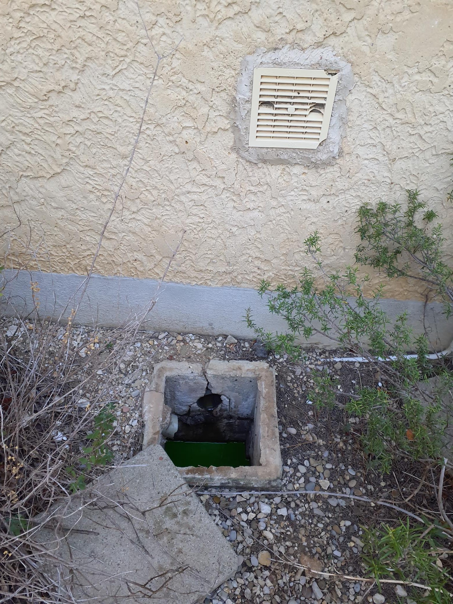 Photo n° 1 de l'avis de GUILLAUME.O fait le 25/01/2024 à 14:09