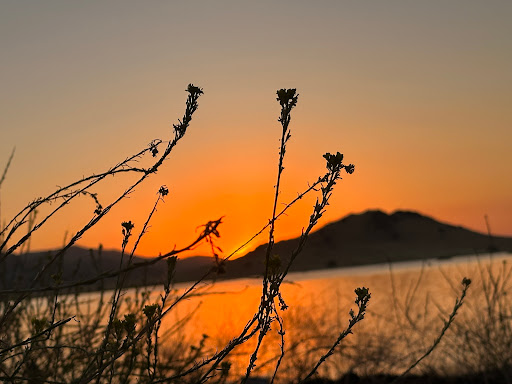 Tule Campground image