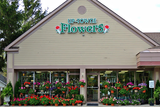Florist «Up-Towne Flowers & Gift Shoppe», reviews and photos, 2145 W Dublin Granville Rd, Worthington, OH 43085, USA