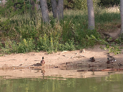 Park «Quail Lake Park», reviews and photos, 915 E Cheyenne Mountain Blvd, Colorado Springs, CO 80906, USA