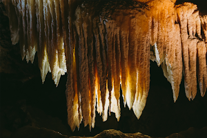 Black Chasm Cavern National Natural Landmark image