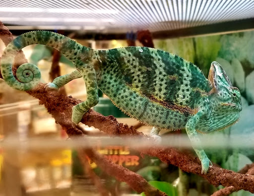 Pet Supply Store «Petco Animal Supplies», reviews and photos, 1391 NJ-35, Middletown, NJ 07748, USA