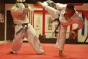Padrón Dojo: US Seireikai Karate image