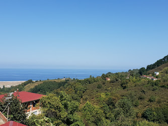 Gülyalı-hoşköy Kültür Ve Dayanışma Dern.