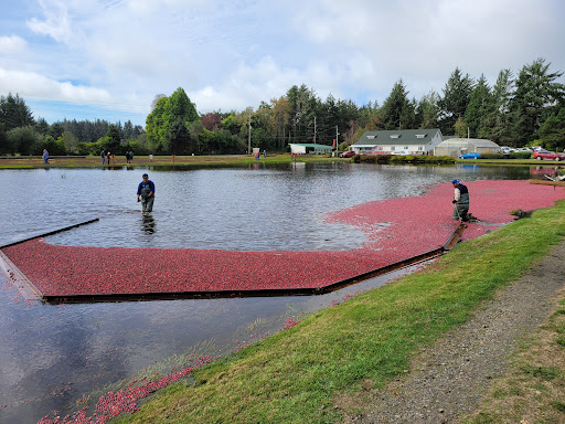 Museum «Cranberry Museum», reviews and photos, 2907 Pioneer Rd, Long Beach, WA 98631, USA