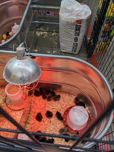 Home Improvement Store «Tractor Supply Co.», reviews and photos, 127 Temple Hill Rd, New Windsor, NY 12553, USA