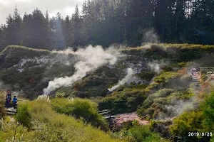 Wairakei Thermal Valley image