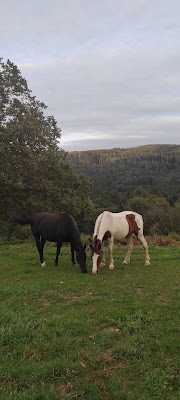 Équita-Nature à Granges-Aumontzey