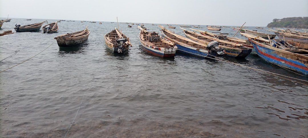 Katonga Fish Market