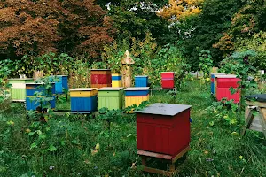 Urban Bees Apiary image