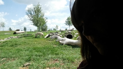 Zoo «Red River Zoo», reviews and photos, 4255 23rd Ave S, Fargo, ND 58104, USA