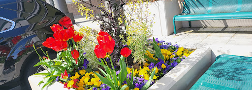 Shopping Mall «Park Place Shopping Center», reviews and photos, 17555 Southcenter Pkwy, Tukwila, WA 98188, USA