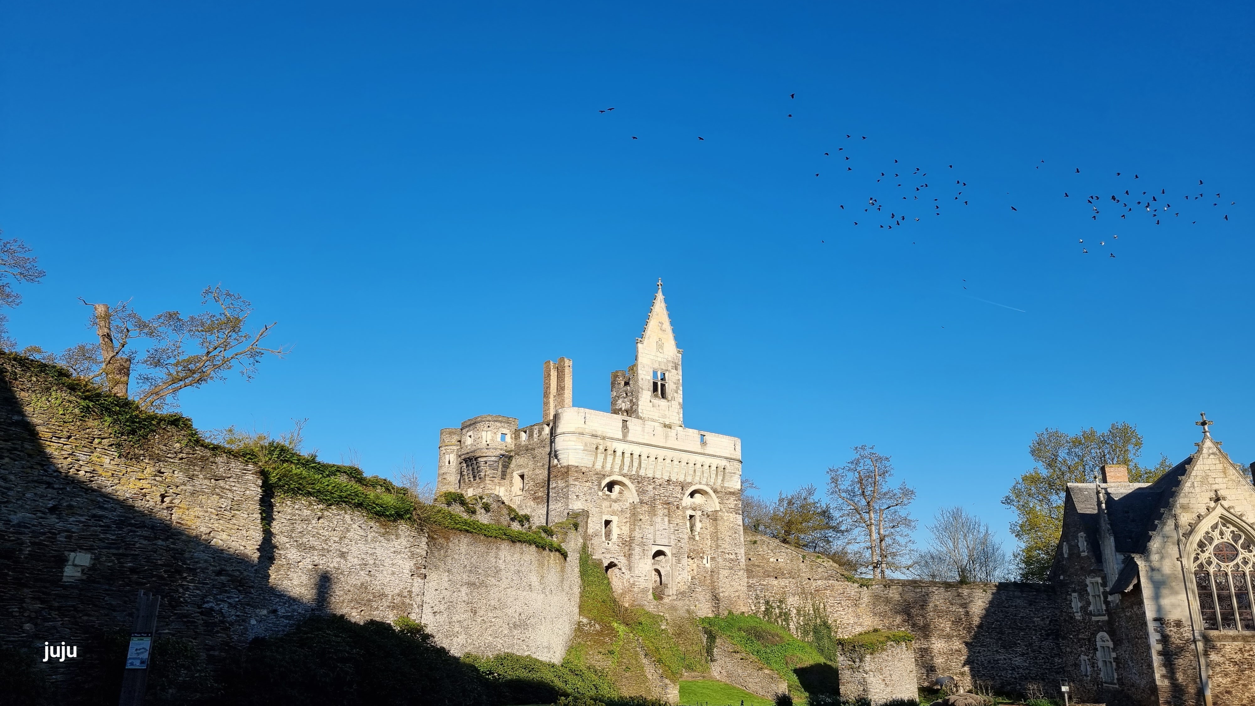 Photo n° 15 de l'avis de Juju.. fait le 28/04/2023 à 08:20