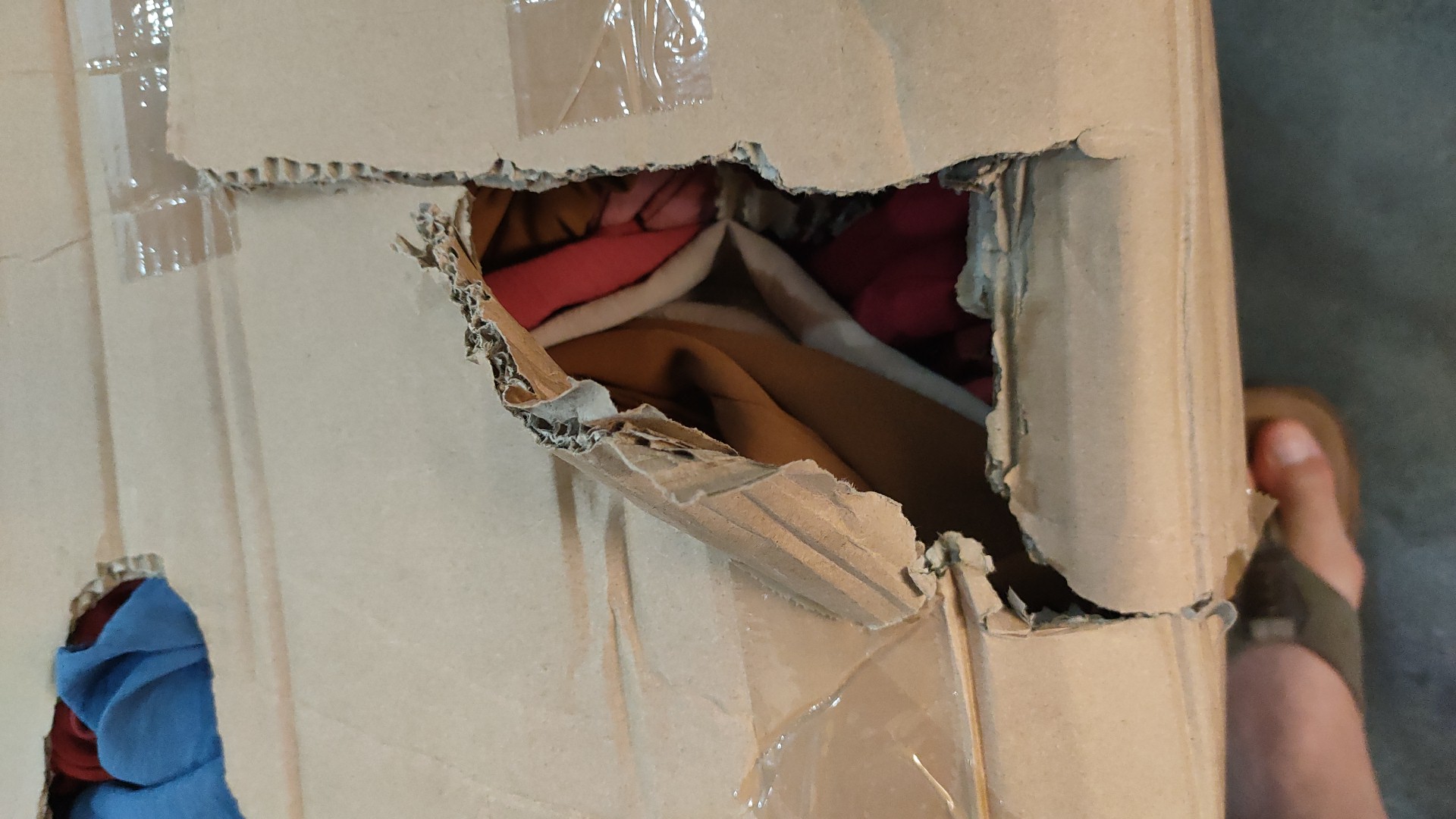 Photo n° 1 de l'avis de PAUL.E fait le 20/08/2021 à 04:30