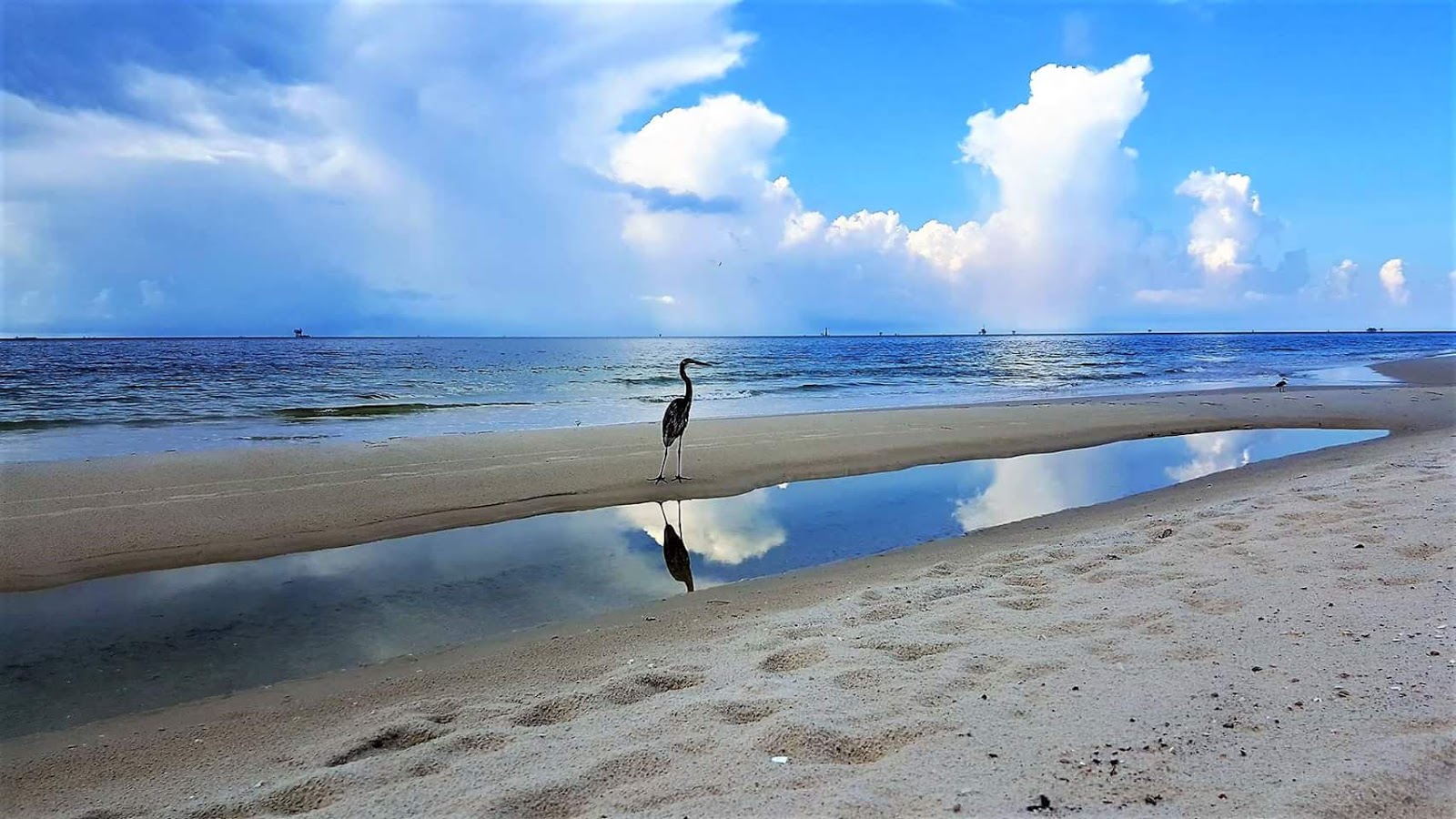 Foto van Ft. Morgan Fishing Beach met recht en lang