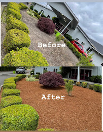 Frank's Lawn Care - Photo 8 - Car repair in , Eugene