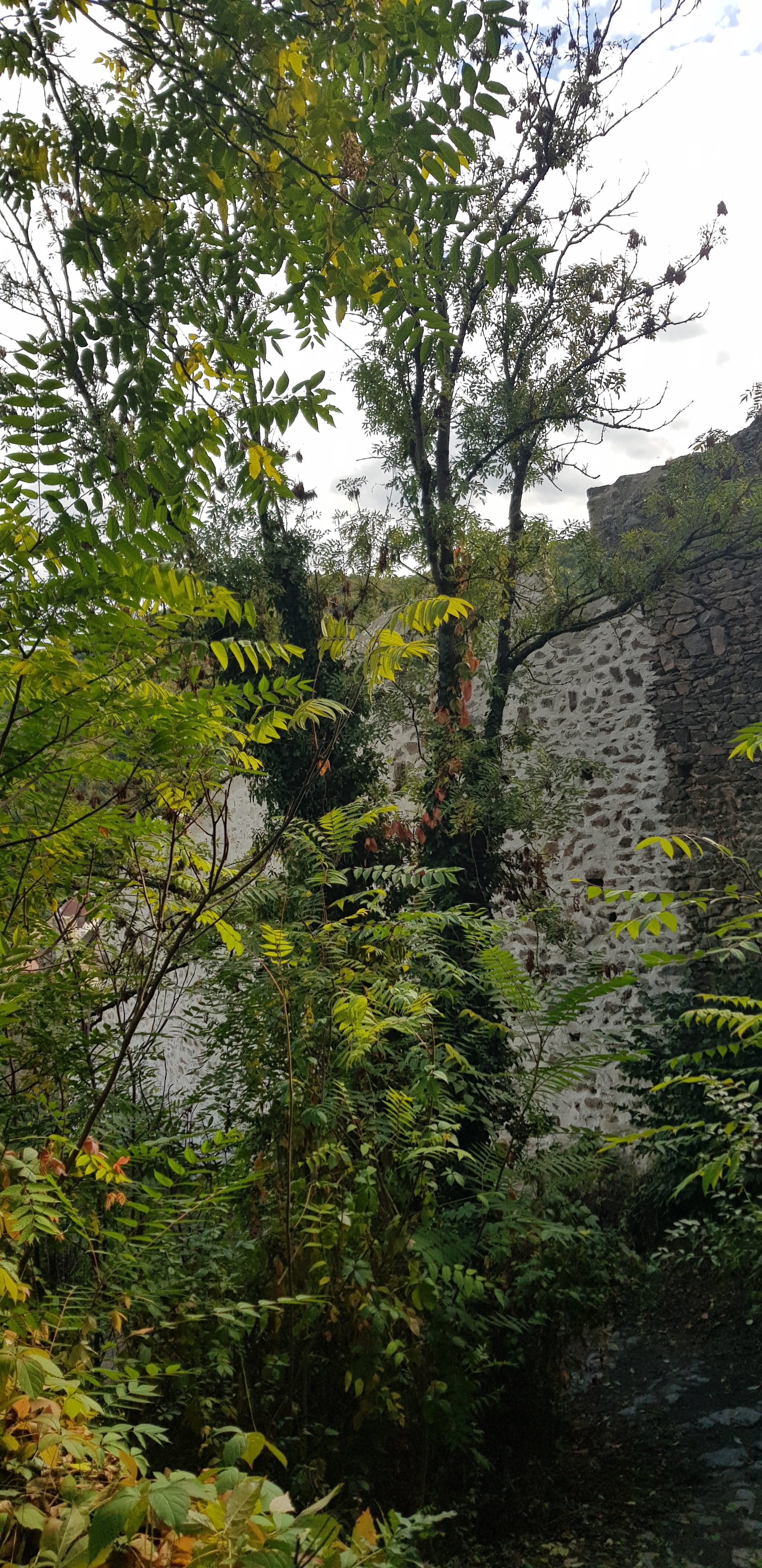 Photo n° 29 de l'avis de Nadine.a fait le 05/10/2021 à 15:20