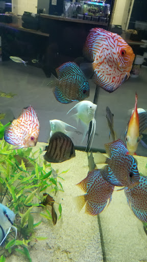 Tropical Fish Store «The Premium Aquarium», reviews and photos, 1875 25th St SE, Salem, OR 97302, USA