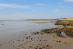 Brokdorf strand'in fotoğrafı ve yerleşim