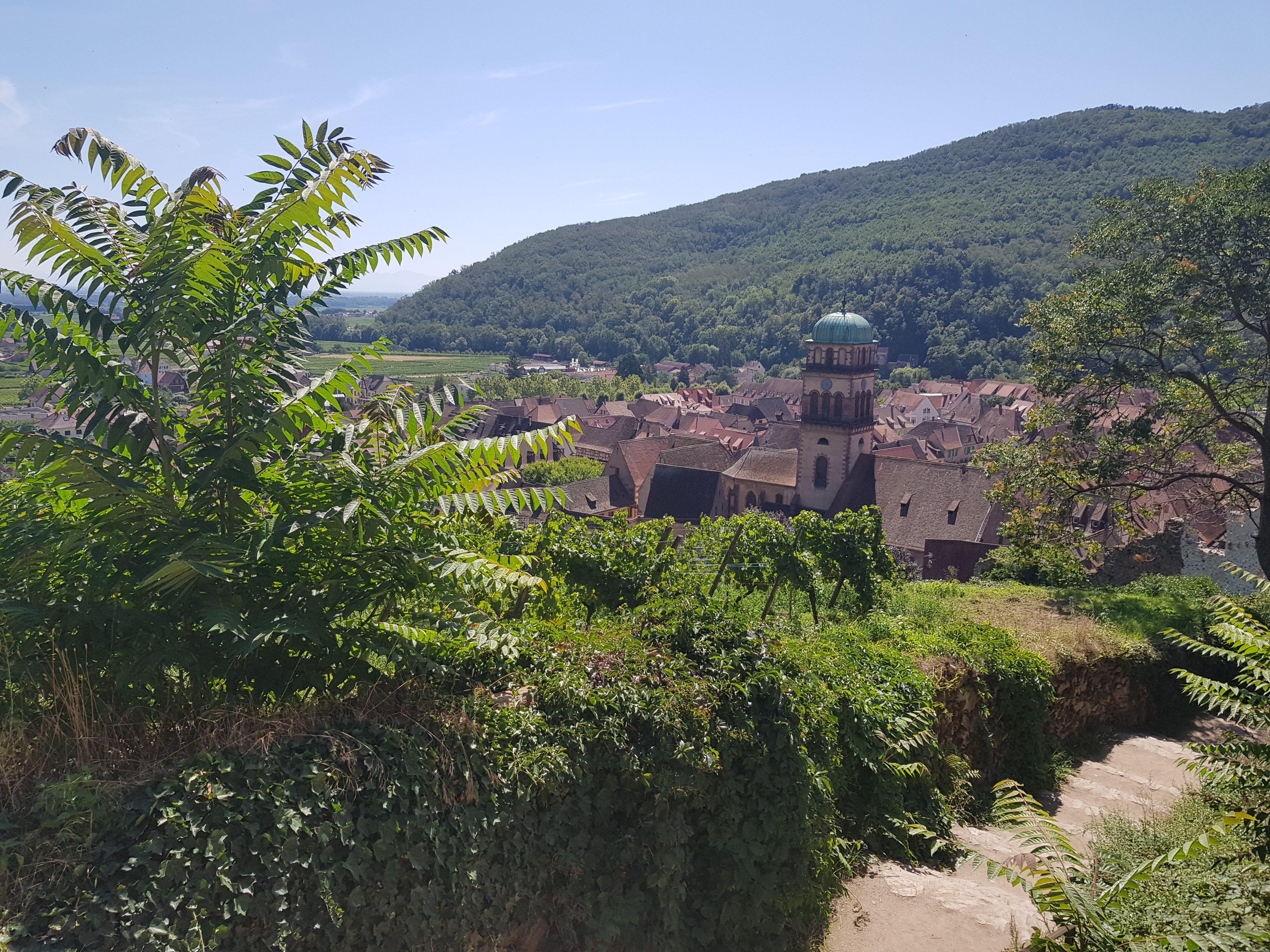 Photo n° 3 de l'avis de Stéphane.A fait le 15/08/2023 à 19:33