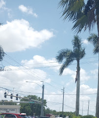 Walgreens - Photo 9 - Car repair in Estero, FL, Bonita Springs