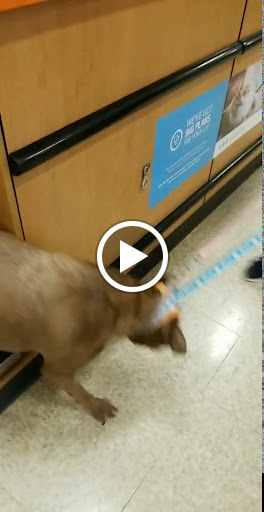 Pet Supply Store «PetSmart», reviews and photos, 6622 Charlotte Pike Suite 108, Nashville, TN 37209, USA