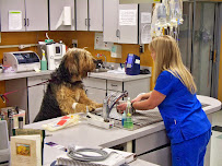 PETS Emergency Hospital, A Thrive Pet Healthcare Partner - Photo 3 - Car repair in Greeley, CO, Greeley