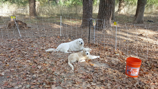 Park «Little Nancy Creek Park», reviews and photos, 4012 Peachtree Dunwoody Rd, Atlanta, GA 30342, USA