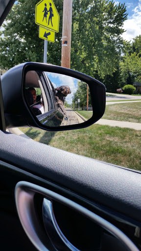 Grocery Store «Apples Grocery Store», reviews and photos, 4100 Ivanhoe Ave, Sheffield Lake, OH 44054, USA