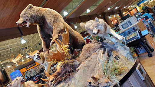Outdoor Sports Store «Field & Stream», reviews and photos, 520 Clock Tower Way, Crescent Springs, KY 41017, USA