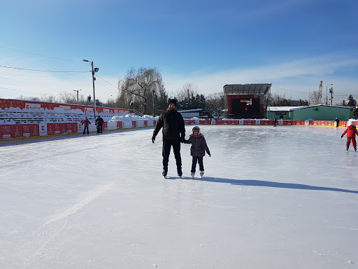Drumul Taberei Ice Skating Rink