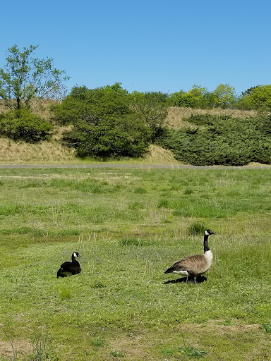 Wildlife Park «Wildlife & Ecology Center», reviews and photos, 249 Buckley Rd, Holtsville, NY 11742, USA