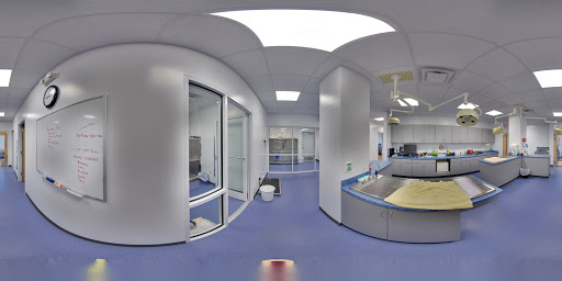 780 Vincek Way, Chesapeake, VA 23323, USA