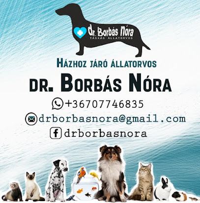 dr. Borbás Nóra házhoz járó állatorvos