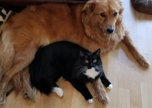 Pet Supply Store «Pet Supplies Plus», reviews and photos, 4923 Sheridan St, Hollywood, FL 33021, USA