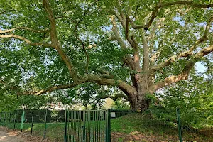 Le Parc de Diane image